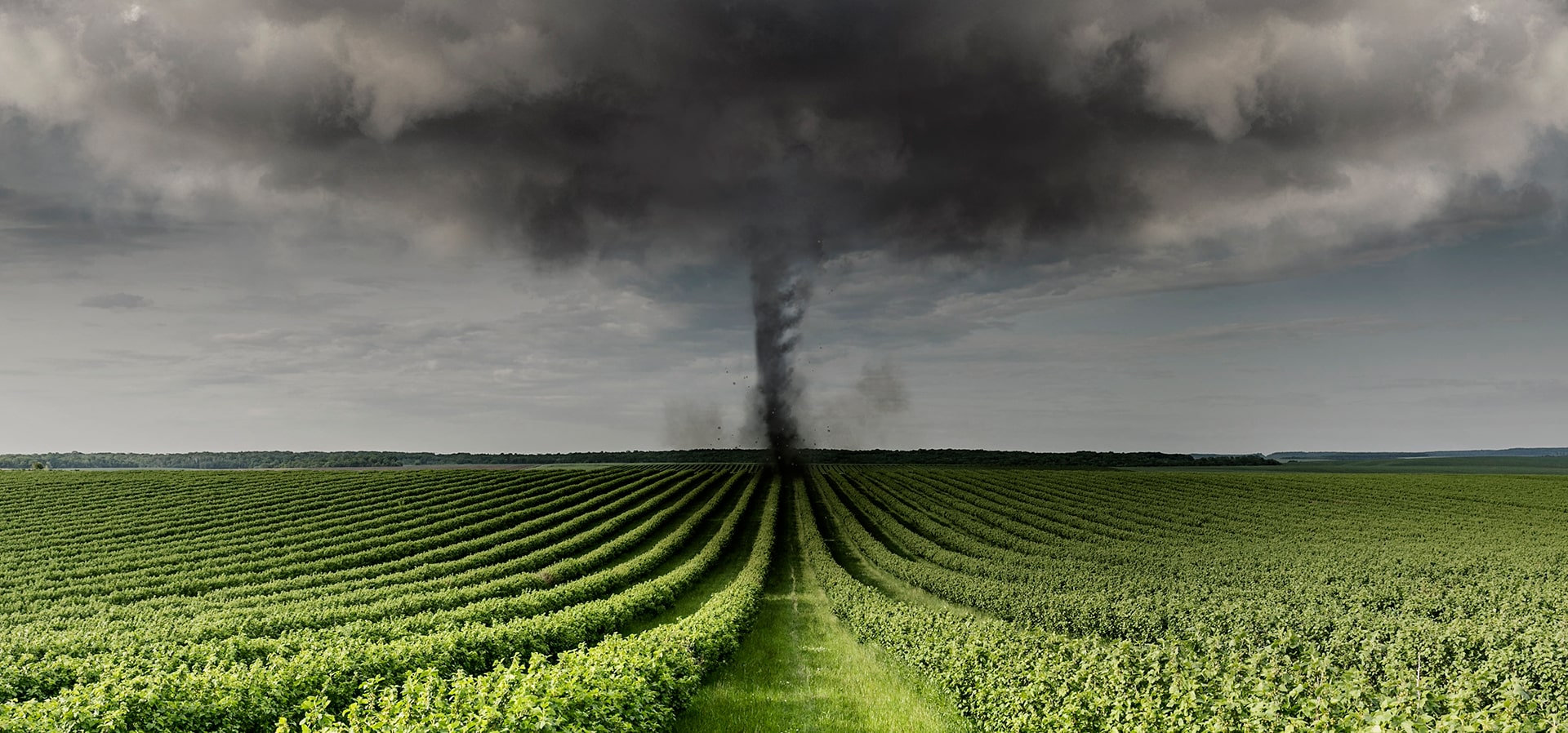 Tornado