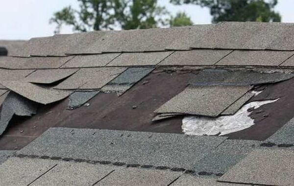 Damaged shingles
