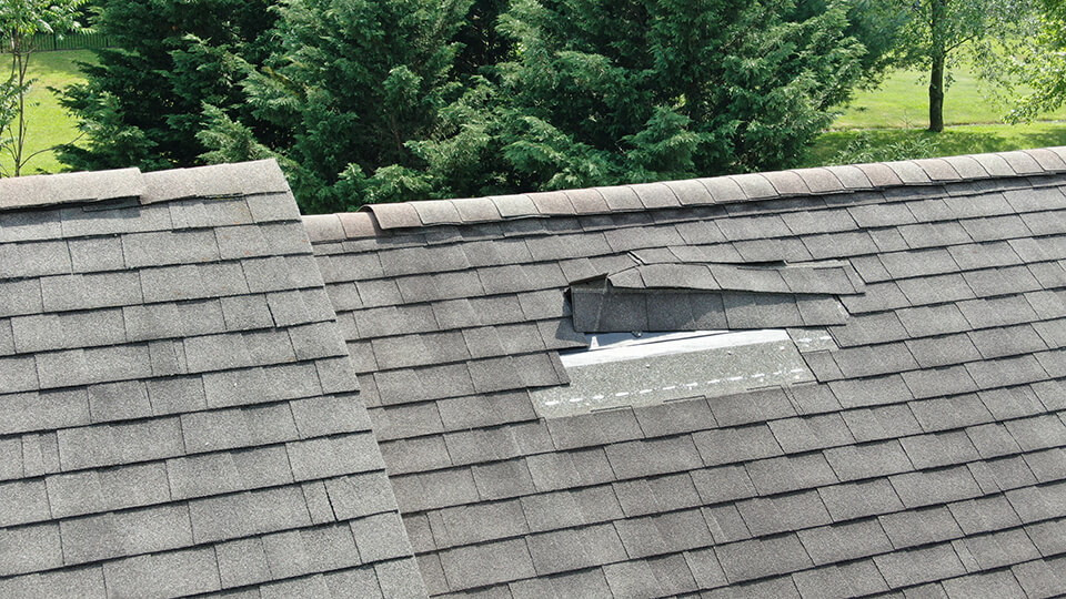 Roof with damaged shingles